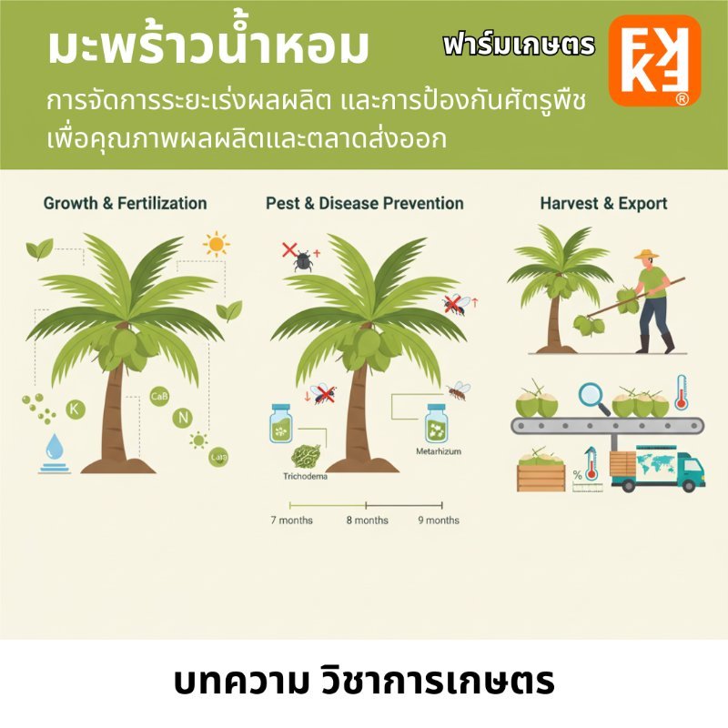รูปภาพประกอบ
