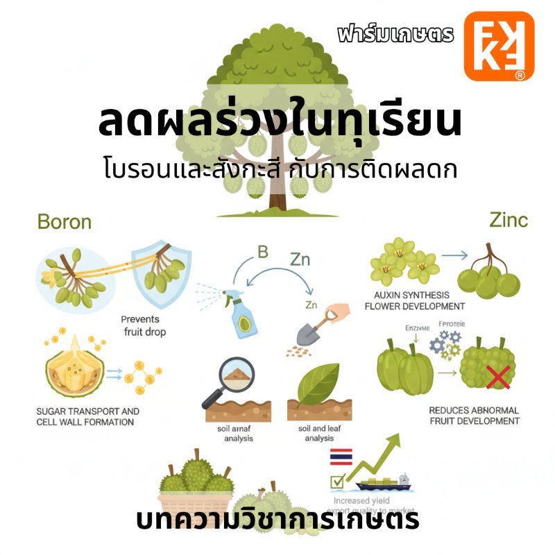 บทความ