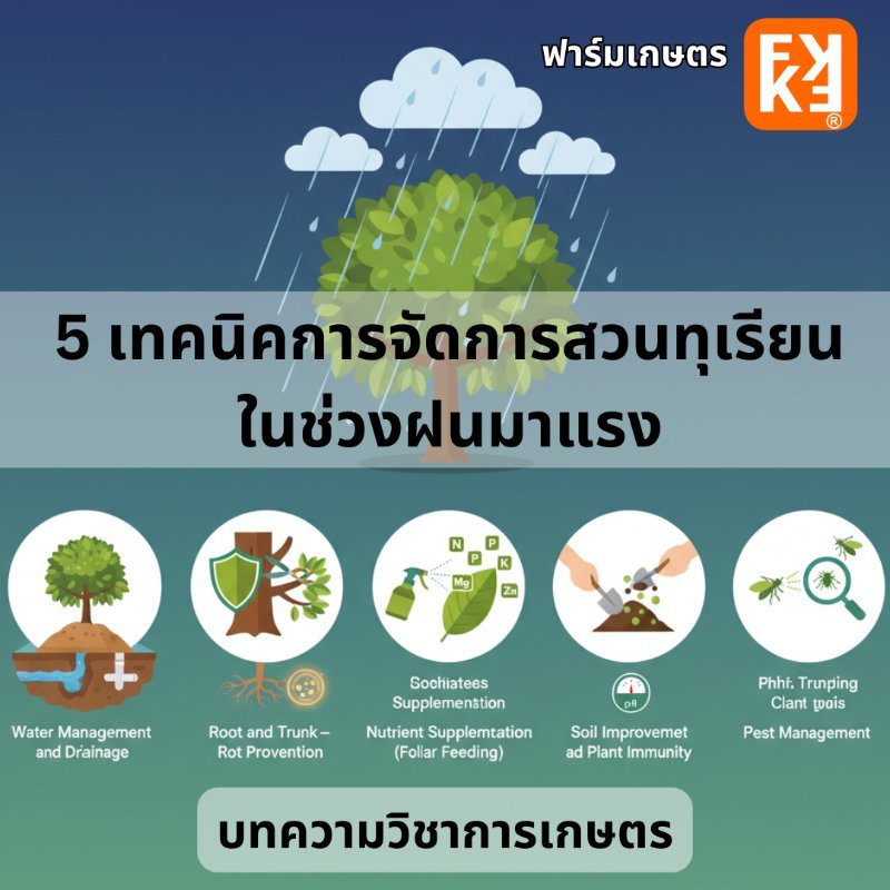 บทความ