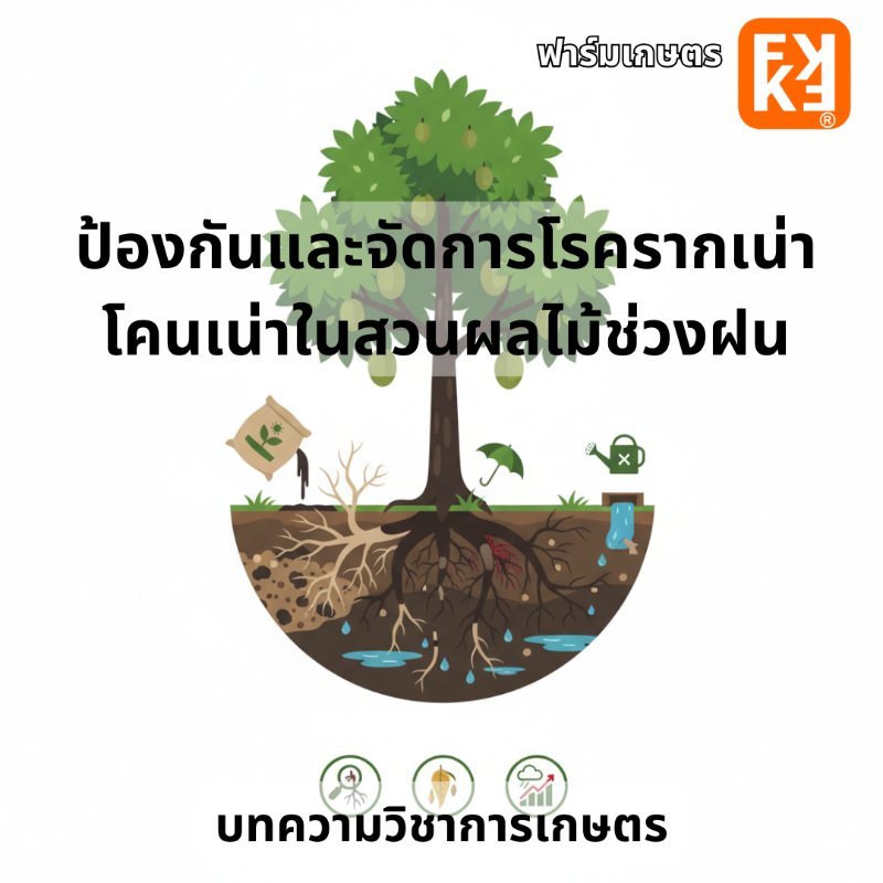 บทความ