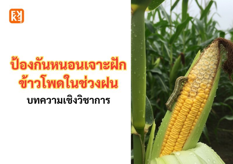บทความ