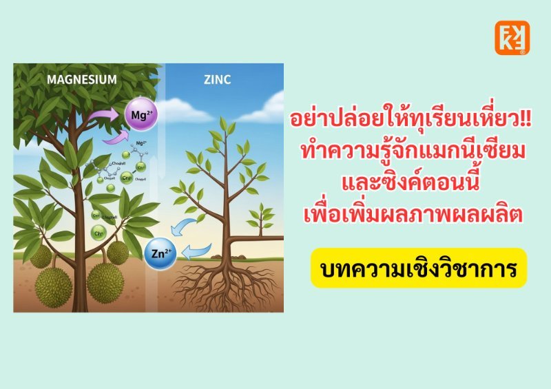 บทความ