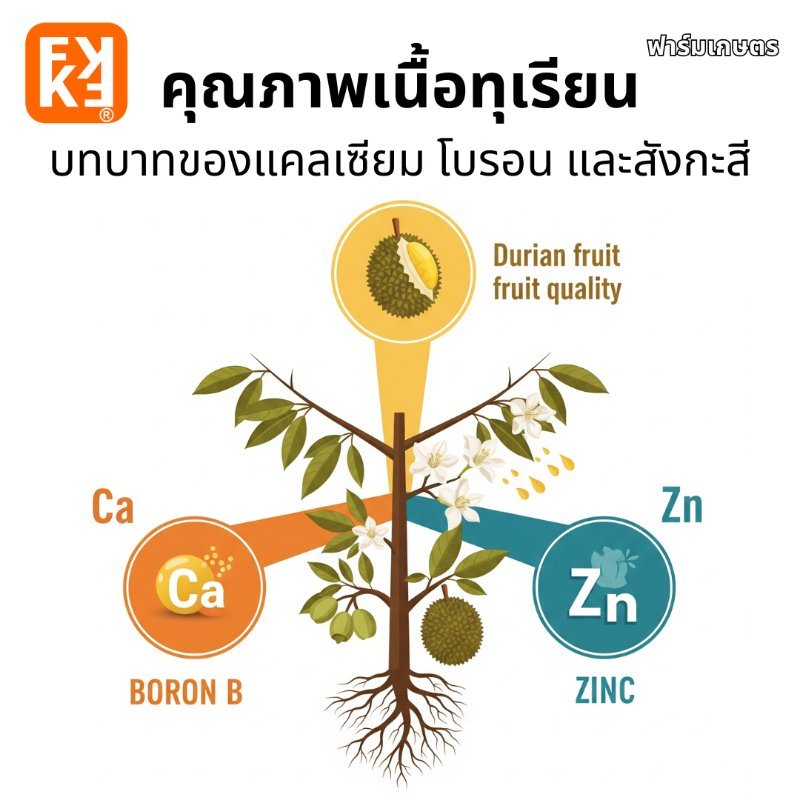 บทความ
