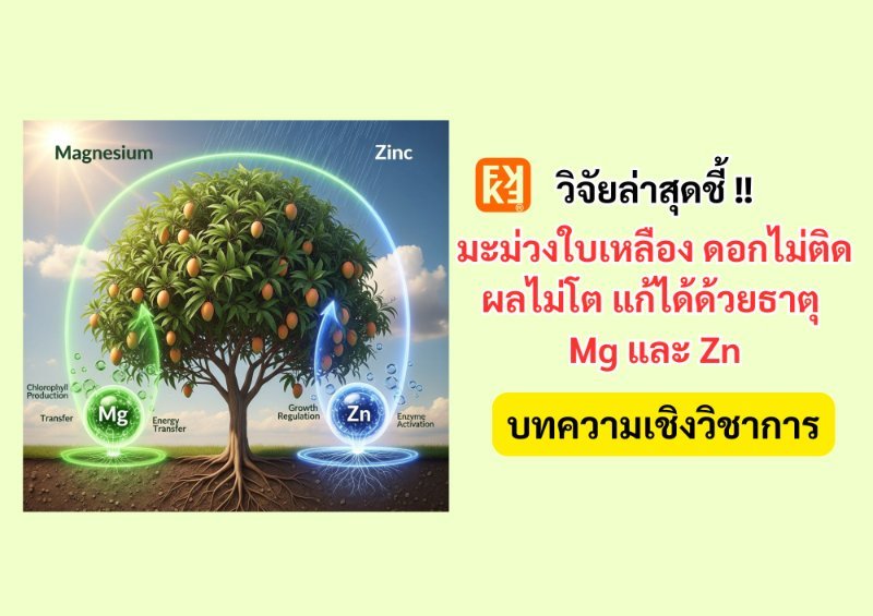 บทความ