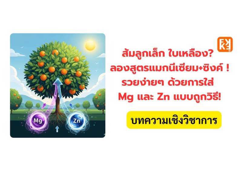 บทความ