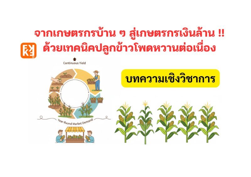 บทความ