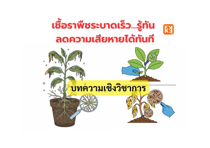 บทความ