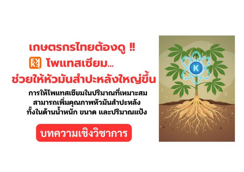 บทความ