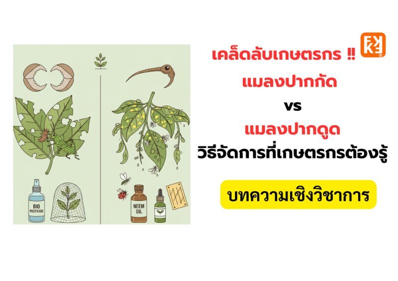 บทความ