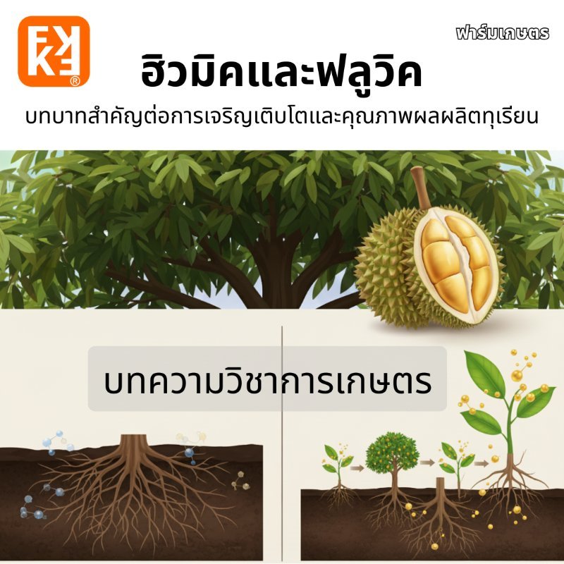 บทความ