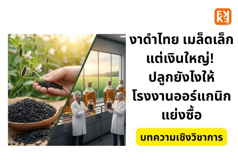 รูปภาพประกอบ