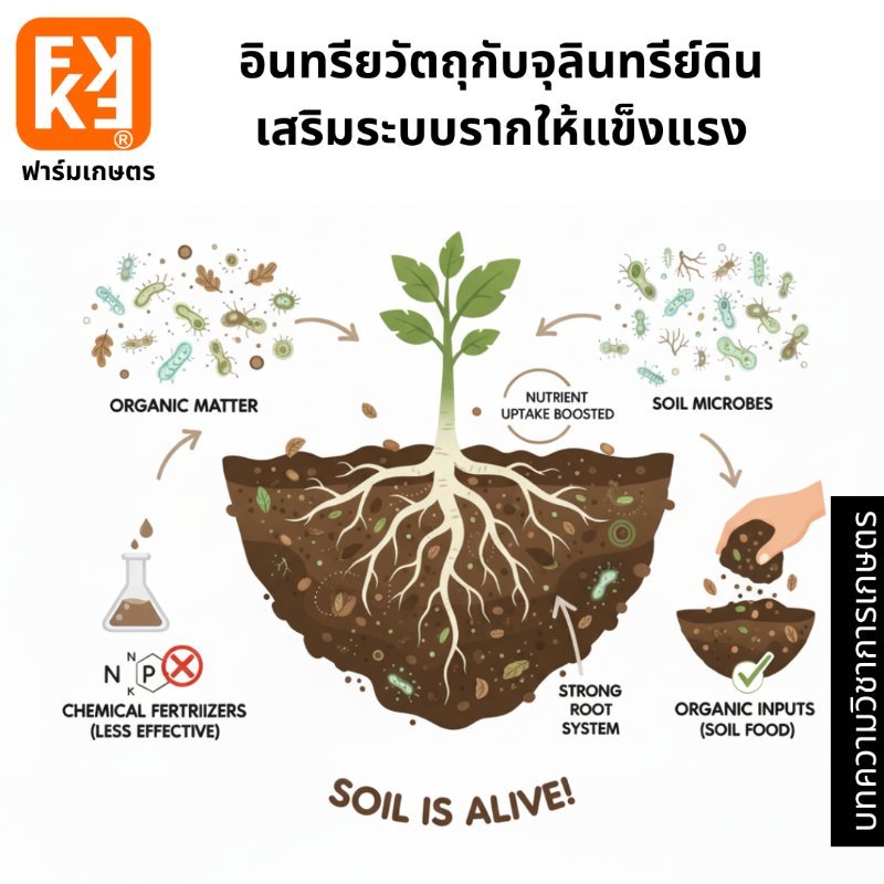 รูปภาพประกอบ