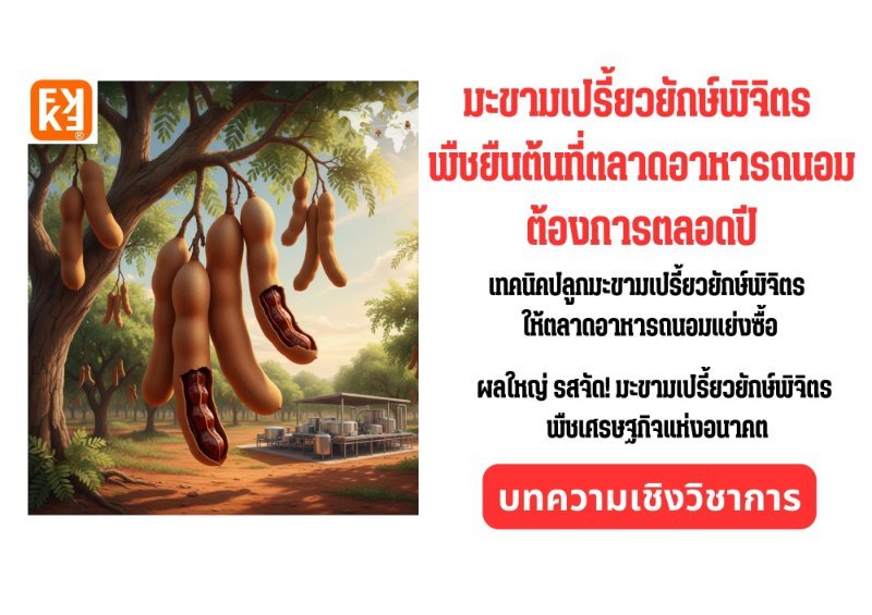 รูปภาพประกอบ