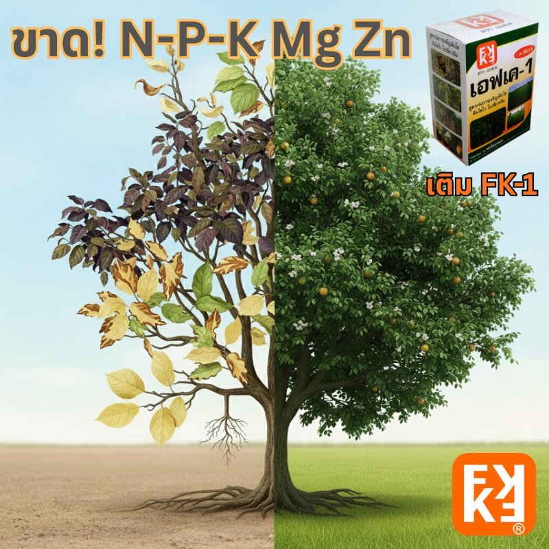 รูปภาพประกอบ