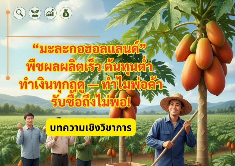 รูปภาพประกอบ