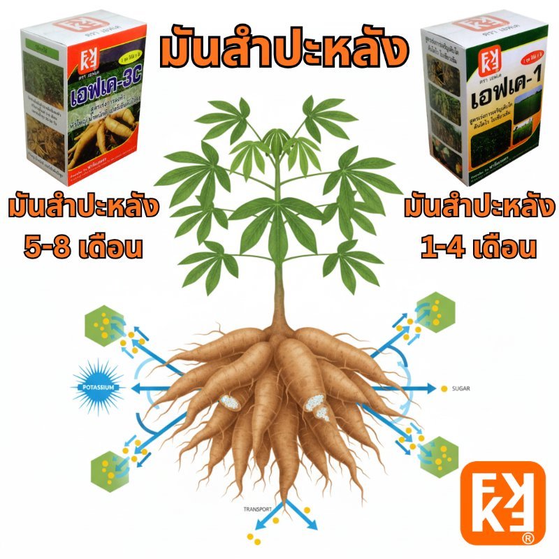 รูปภาพประกอบ