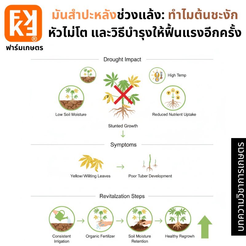 รูปภาพประกอบ