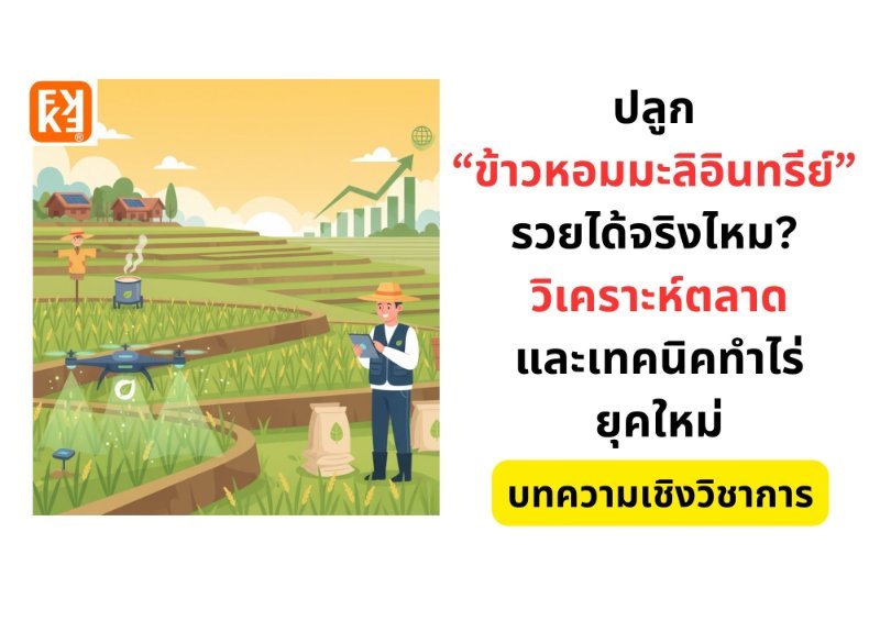 รูปภาพประกอบ