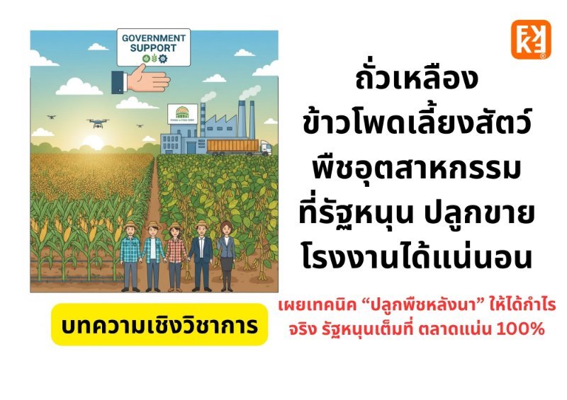 รูปภาพประกอบ