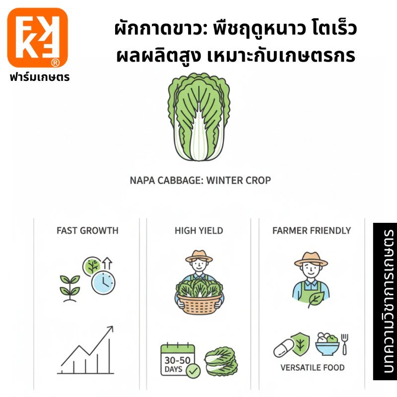 รูปภาพประกอบ