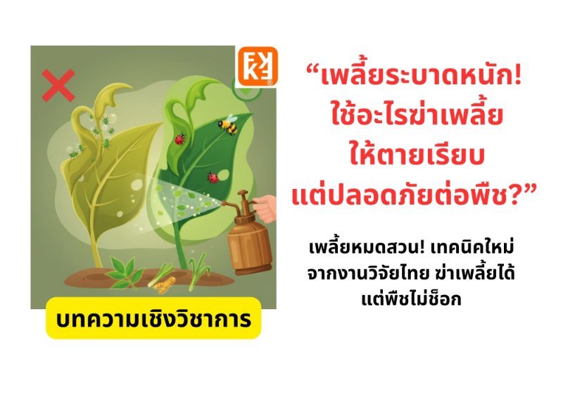 รูปภาพประกอบ