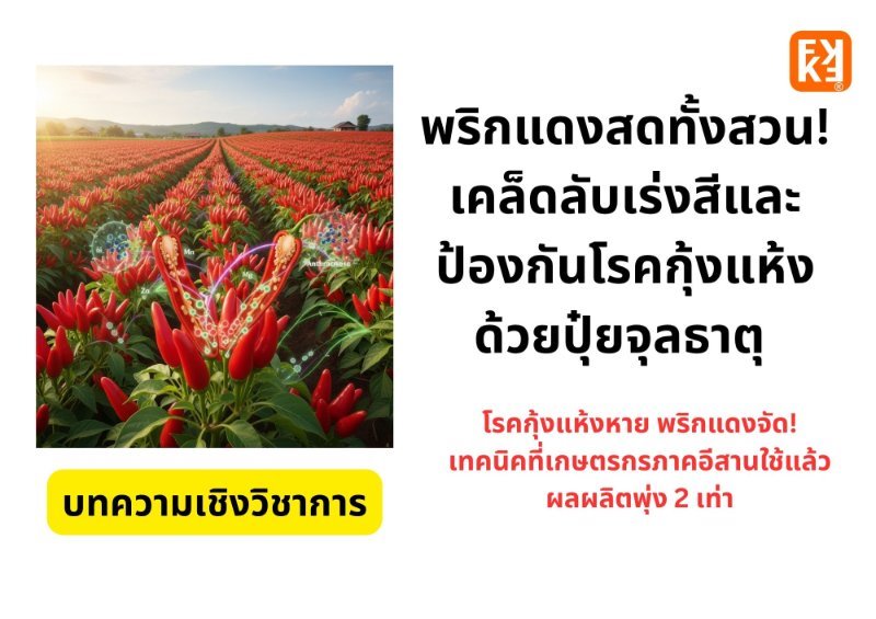 รูปภาพประกอบ