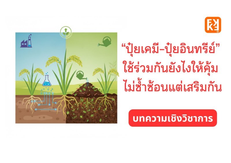 รูปภาพประกอบ