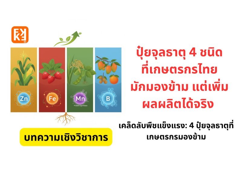 รูปภาพประกอบ