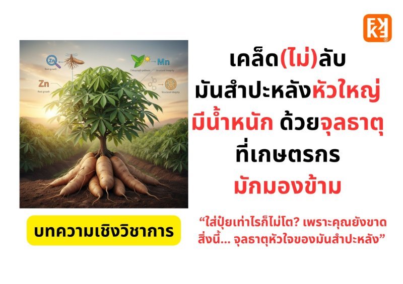 รูปภาพประกอบ