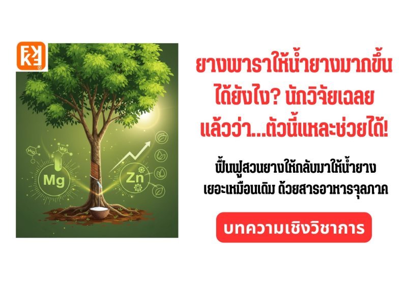 รูปภาพประกอบ