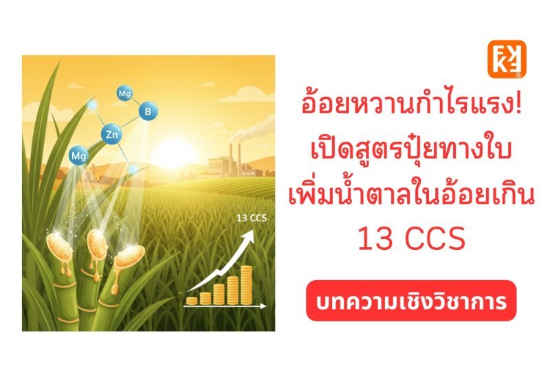 รูปภาพประกอบ