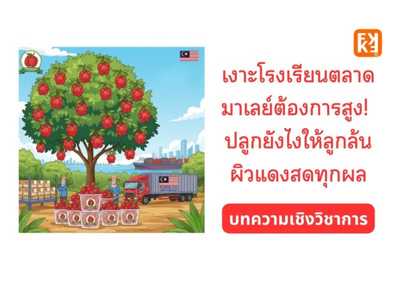 รูปภาพประกอบ