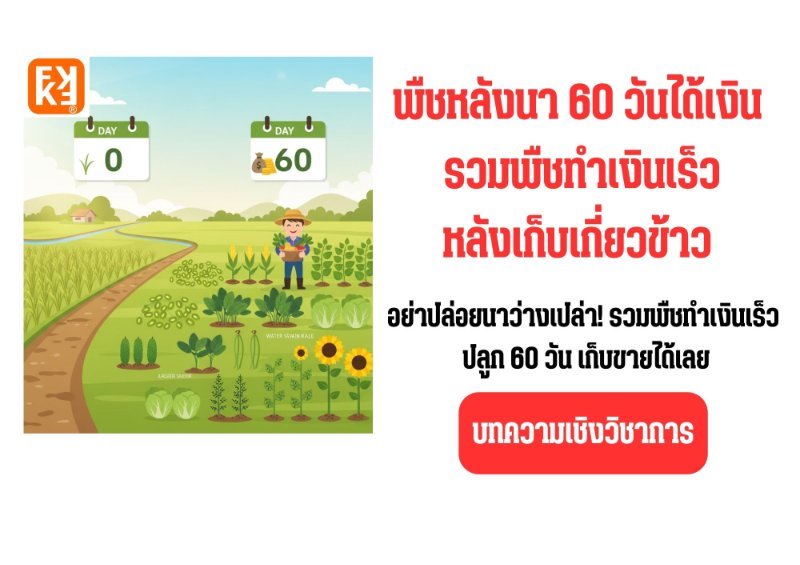 รูปภาพประกอบ