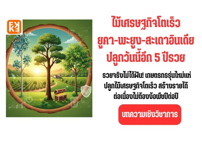 รูปภาพประกอบ