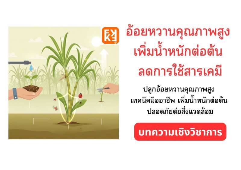 รูปภาพประกอบ