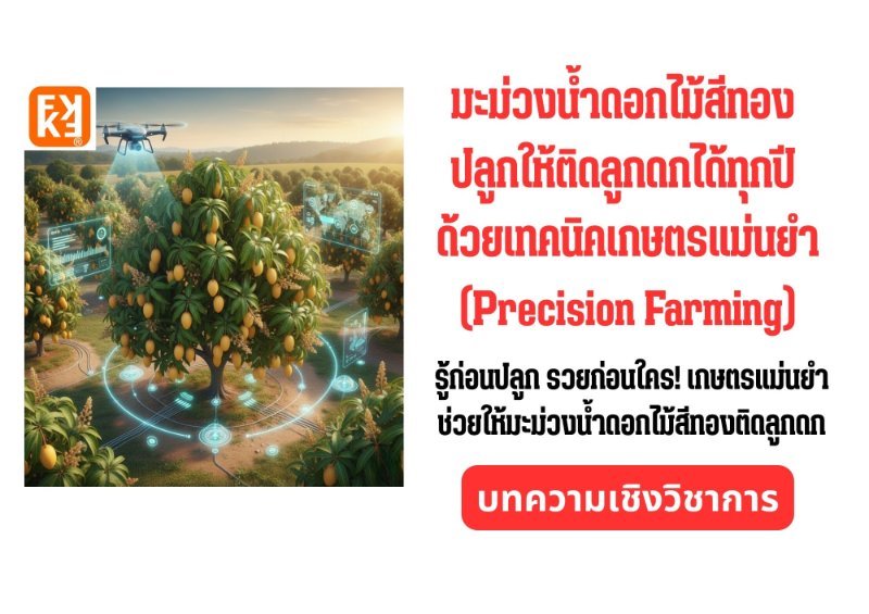 รูปภาพประกอบ