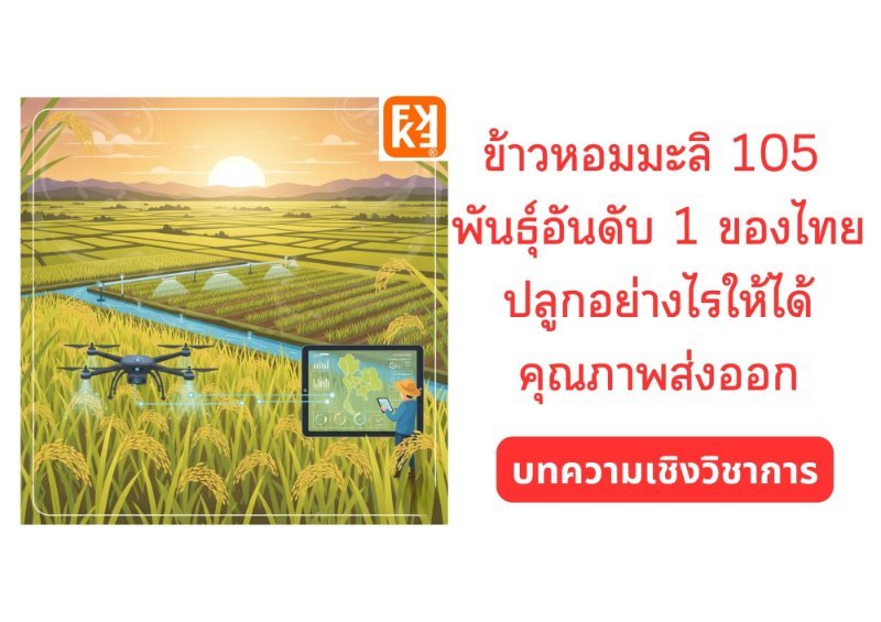 รูปภาพประกอบ