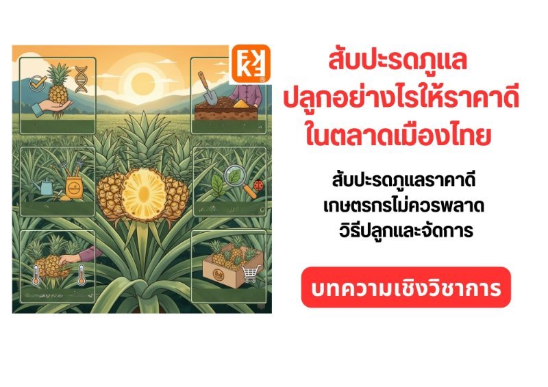 รูปภาพประกอบ