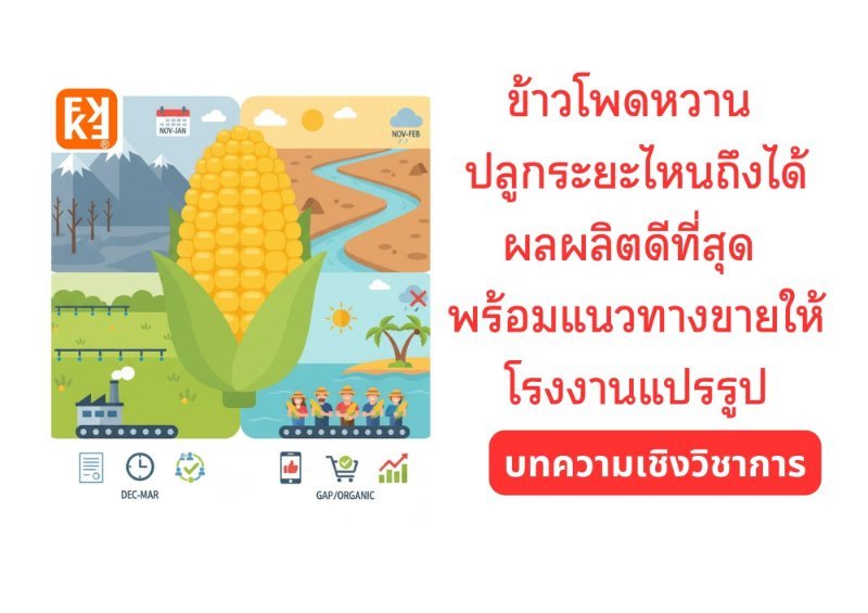 รูปภาพประกอบ