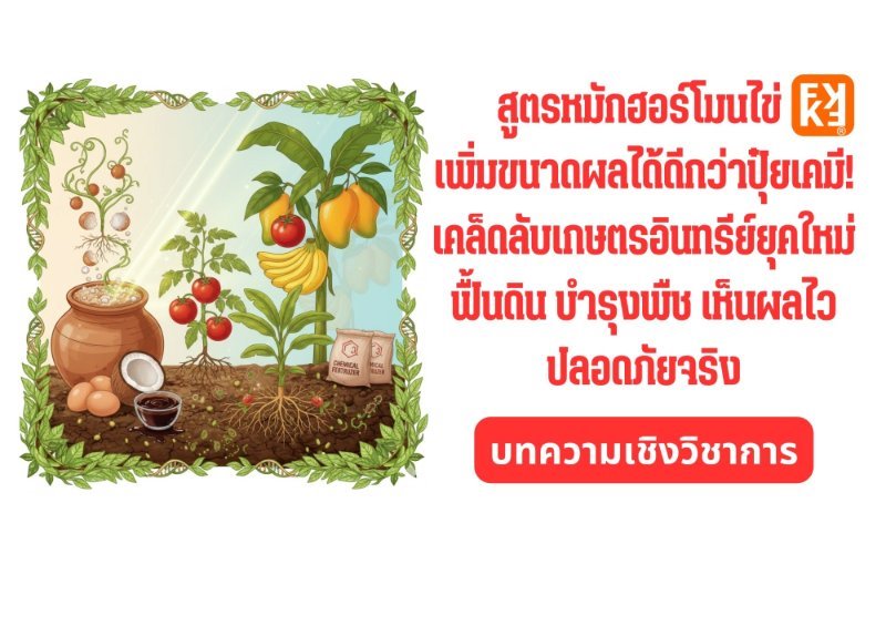 รูปภาพประกอบ