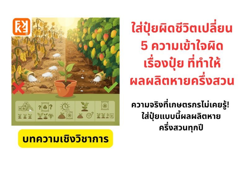 รูปภาพประกอบ