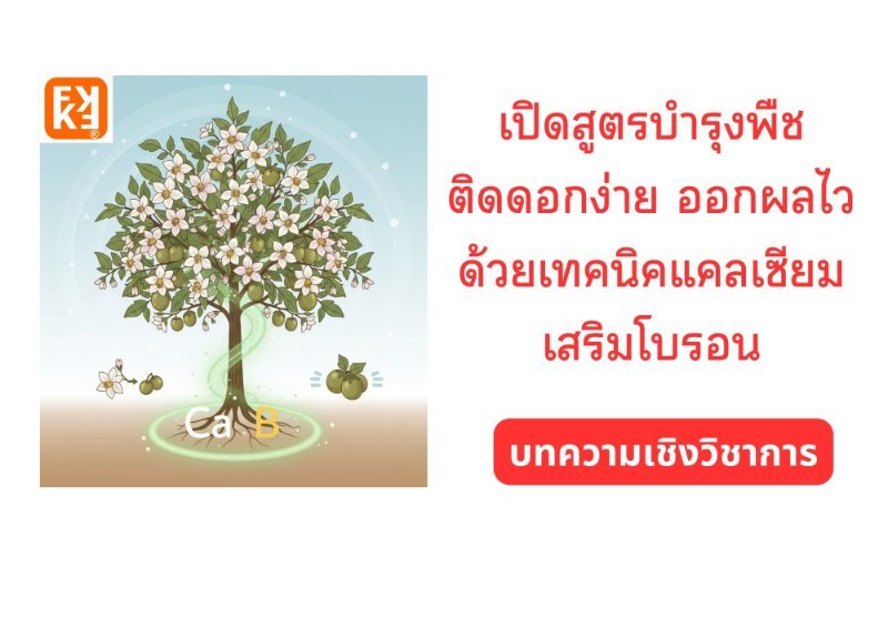 รูปภาพประกอบ