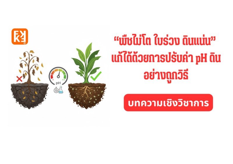 รูปภาพประกอบ