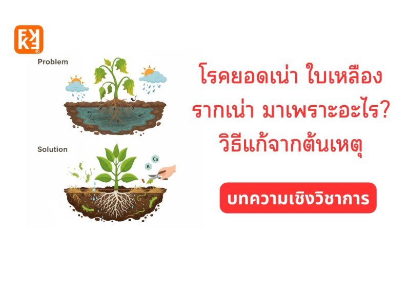 รูปภาพประกอบ