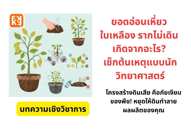 รูปภาพประกอบ