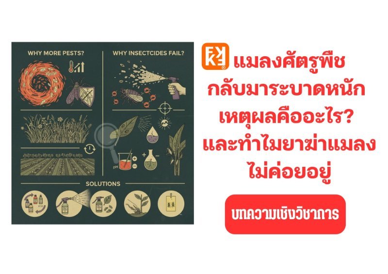 รูปภาพประกอบ