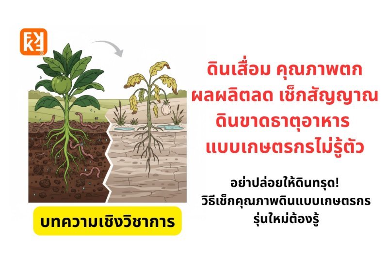 รูปภาพประกอบ