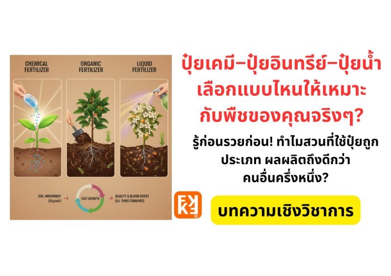 รูปภาพประกอบ