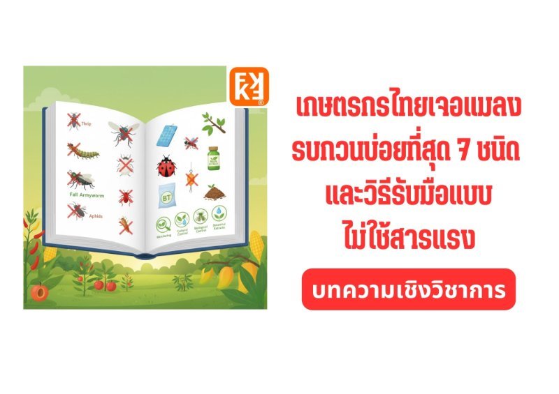 รูปภาพประกอบ