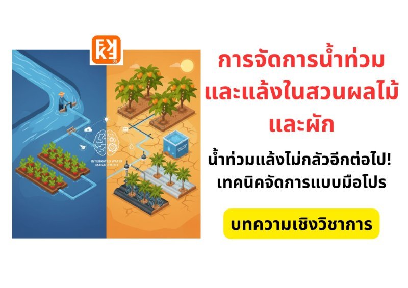 รูปภาพประกอบ